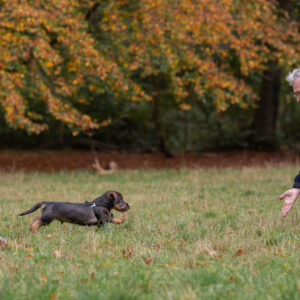 Sydhavnen Indkaldshold - Drop in