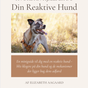 Mini guide: Til den Reaktive Hund