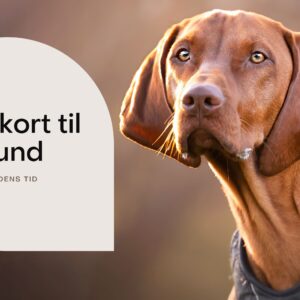 Webinar: Kørekort til Hund