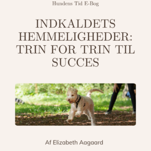 Indkaldets Hemmeligheder: Trin for Trin til Succes